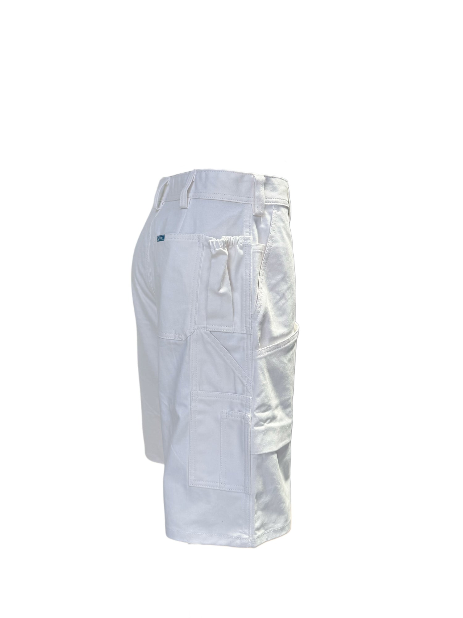 Proline Painter Shorts