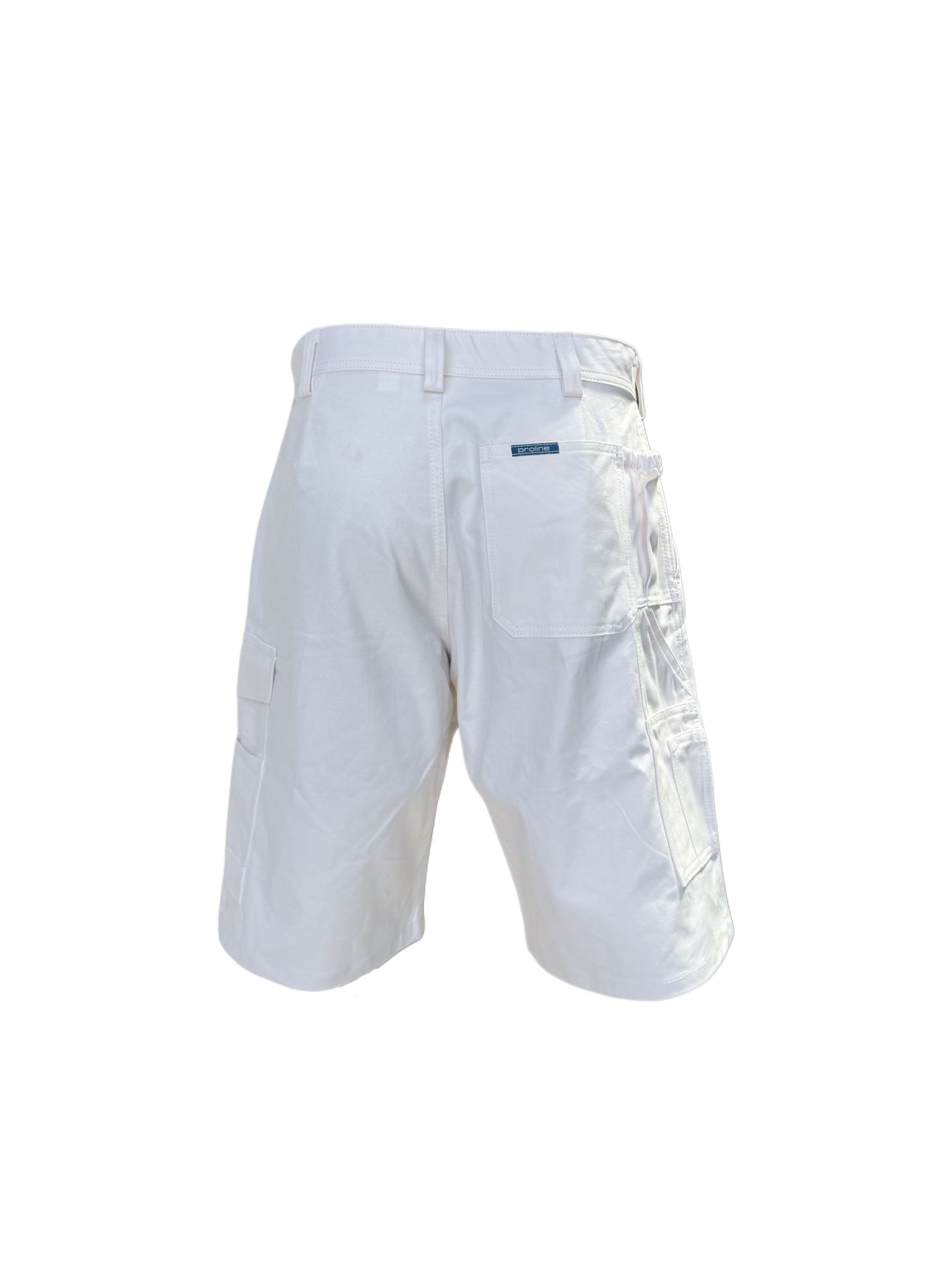 Proline Painter Shorts