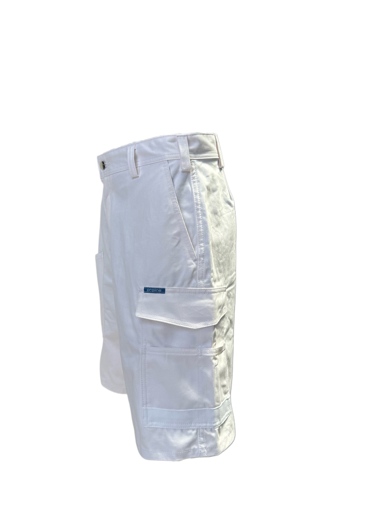 Proline Painter Shorts